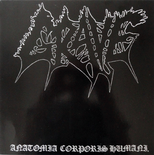 Grave (SWE-1) : Anatomia Corporis Humani (MLP)